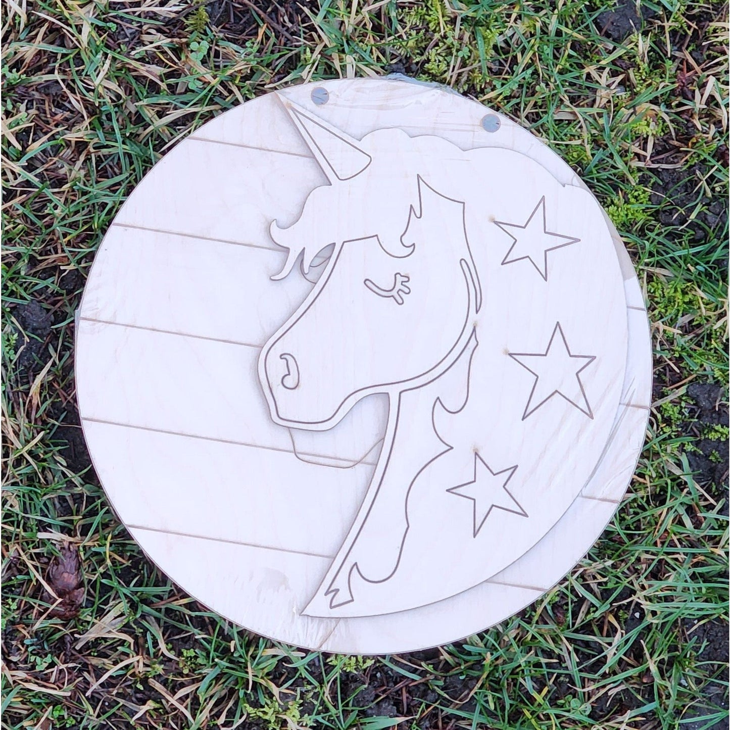 Unicorn - 3D Sign! - Youth Round Door Hanger