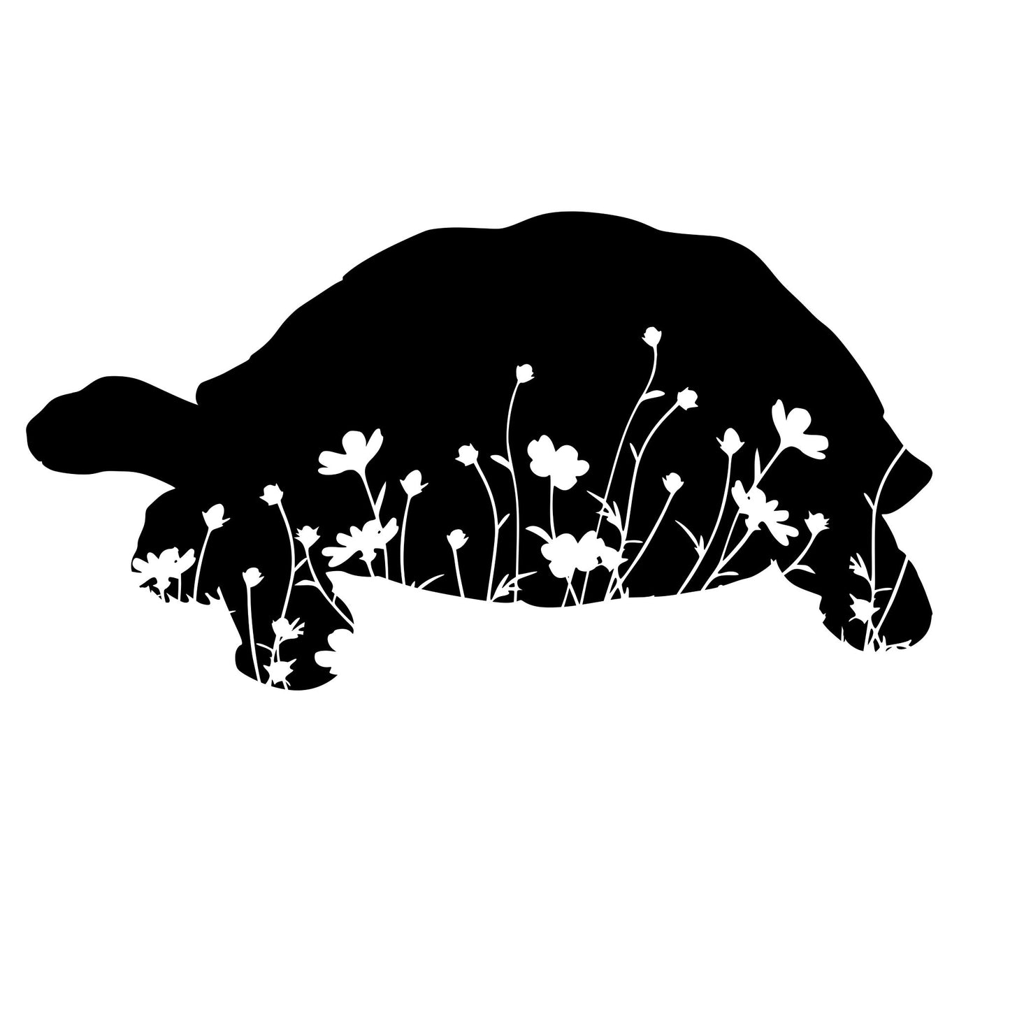 Wildflower Animals
