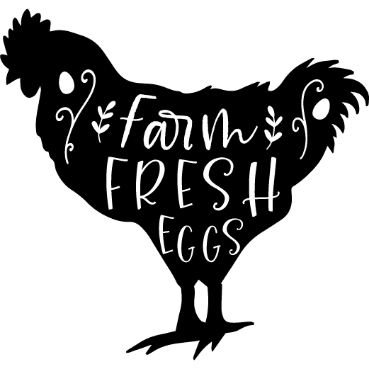 Farm Fresh Eggs - Chicken